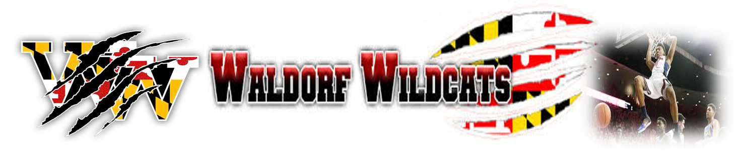 Basketball Program